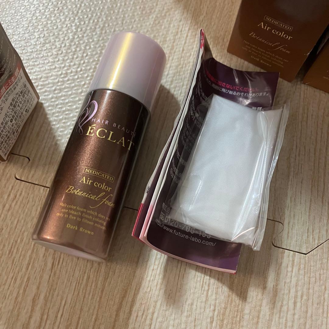 ボタニカル　エアカラーフォーム　80g ヘアボーテエクラ 白髪染め