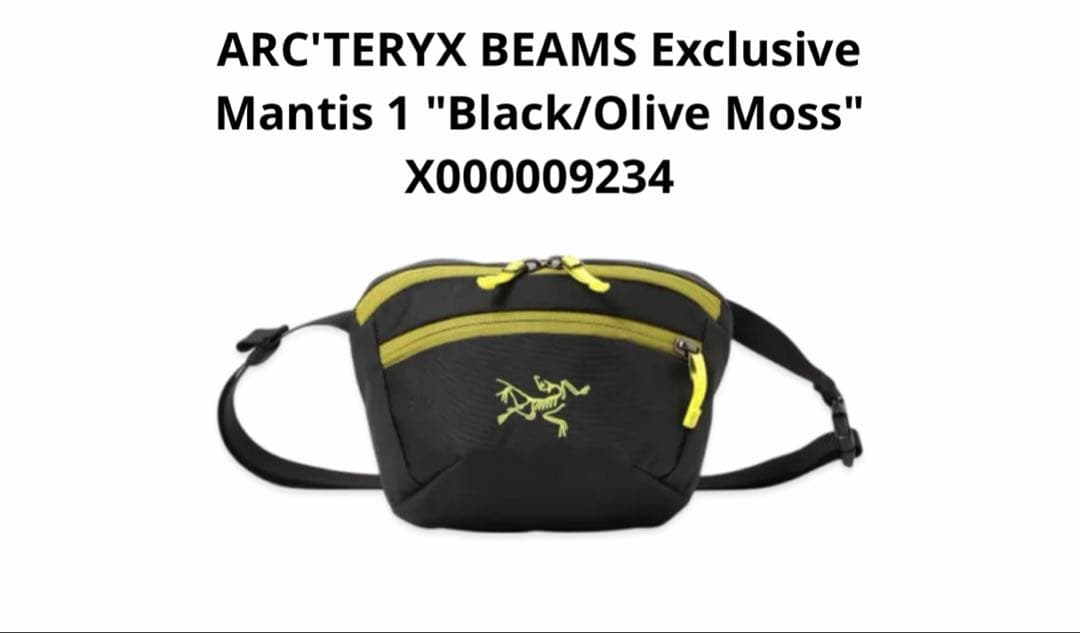 バッグ ARC'TERYX BEAMS Exclusive Mantis 1