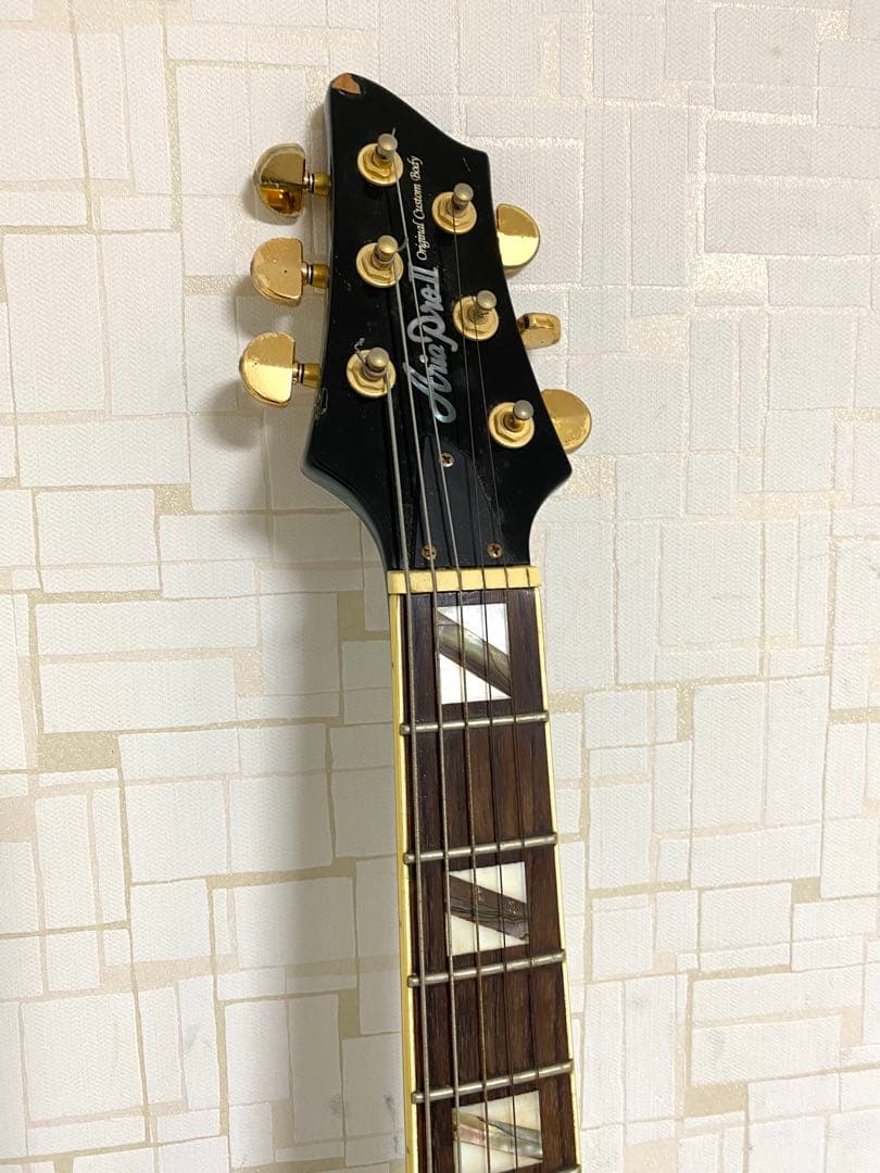 Aria Pro Ⅱ エレキギター レスポール オリジナルカスタムボディ
