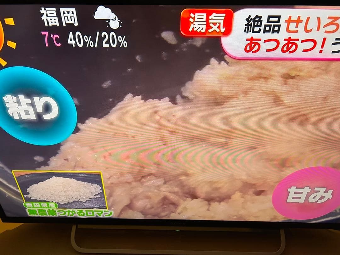 大幅値下げ ソニー 40V型 液晶テレビ KDL-40W600B