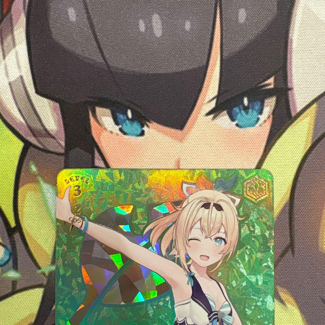 ヴァイスシュヴァルツ kamito