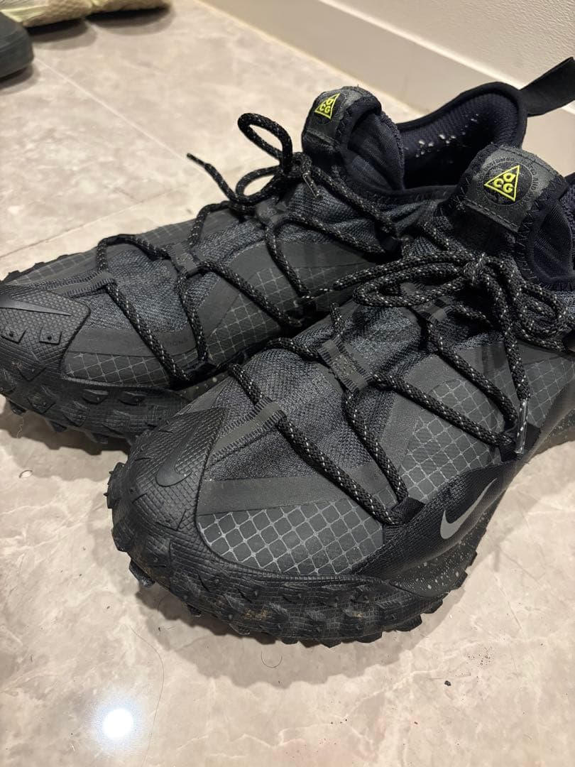 C*e様 NIKE ACG MOUNTAIN FLY LOW GTX マウンテン