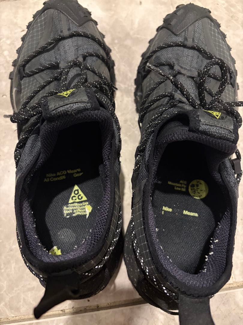 C*e様 NIKE ACG MOUNTAIN FLY LOW GTX マウンテン