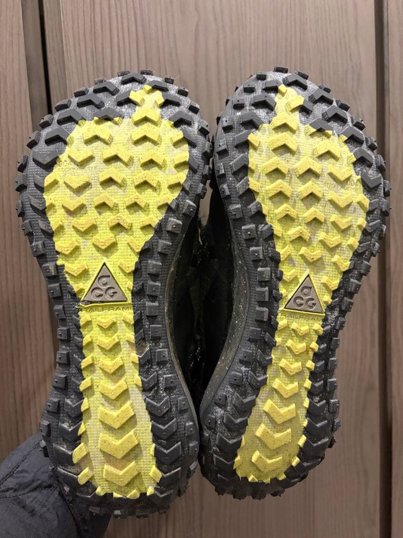 C*e様 NIKE ACG MOUNTAIN FLY LOW GTX マウンテン