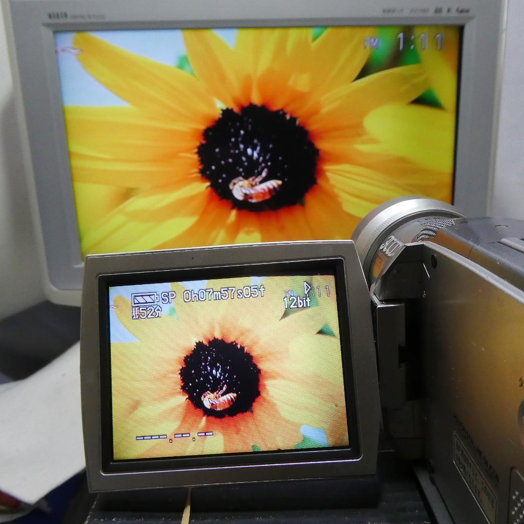 動作良好 パナソニックNV-MX2000 MiniDVビデオカメラDVD化に最適