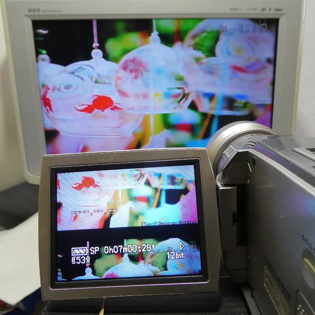 動作良好 パナソニックNV-MX2000 MiniDVビデオカメラDVD化に最適