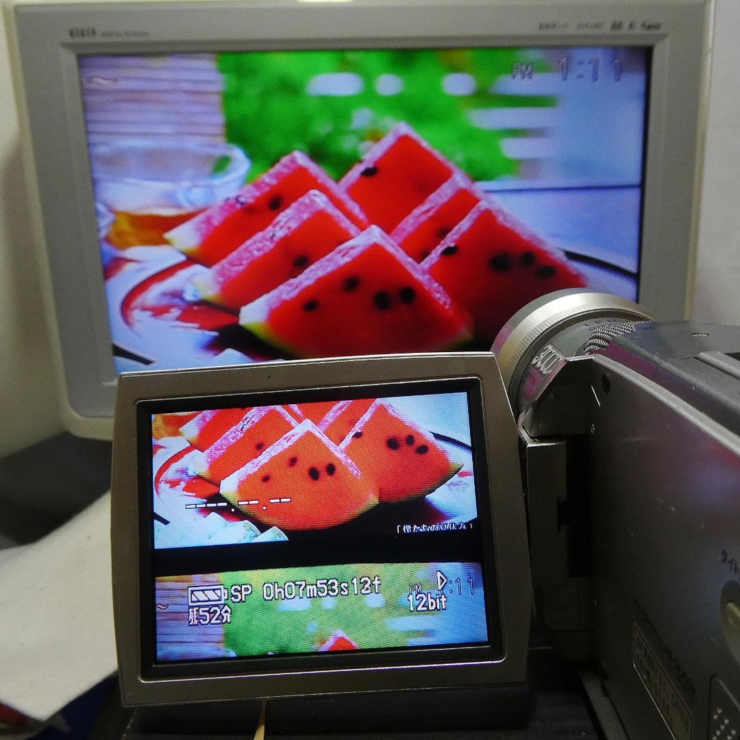 動作良好 パナソニックNV-MX2000 MiniDVビデオカメラDVD化に最適