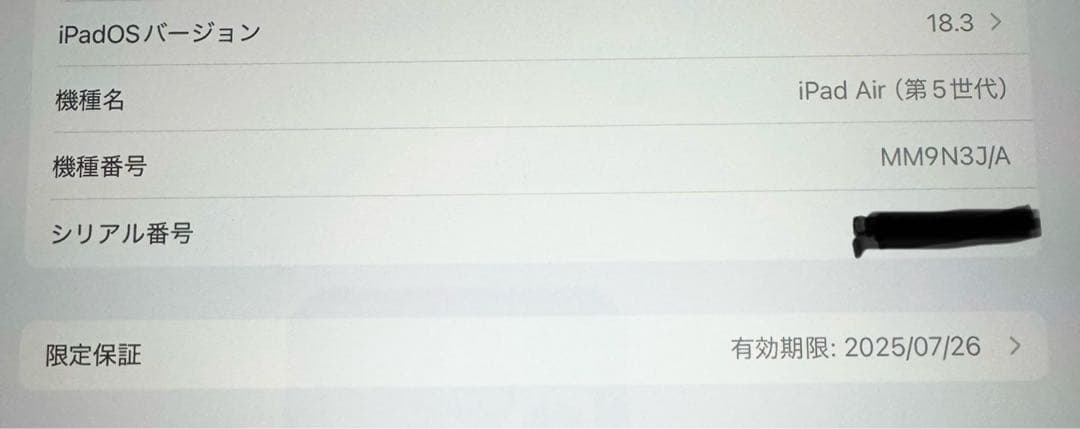 Apple iPad Air (第5世代) 256GB 本体