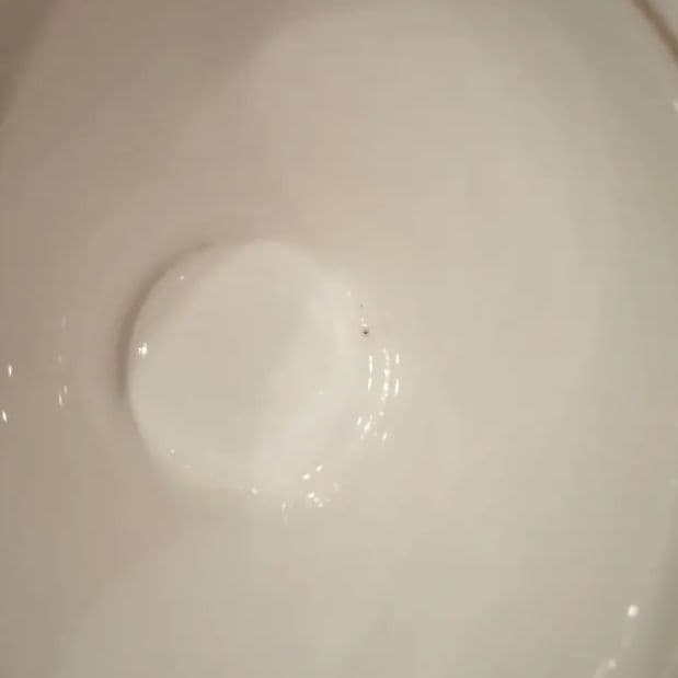 専用 イギリス パラゴン 1950年代 コ—ヒ—カップ＆ソ—サ—２客セット