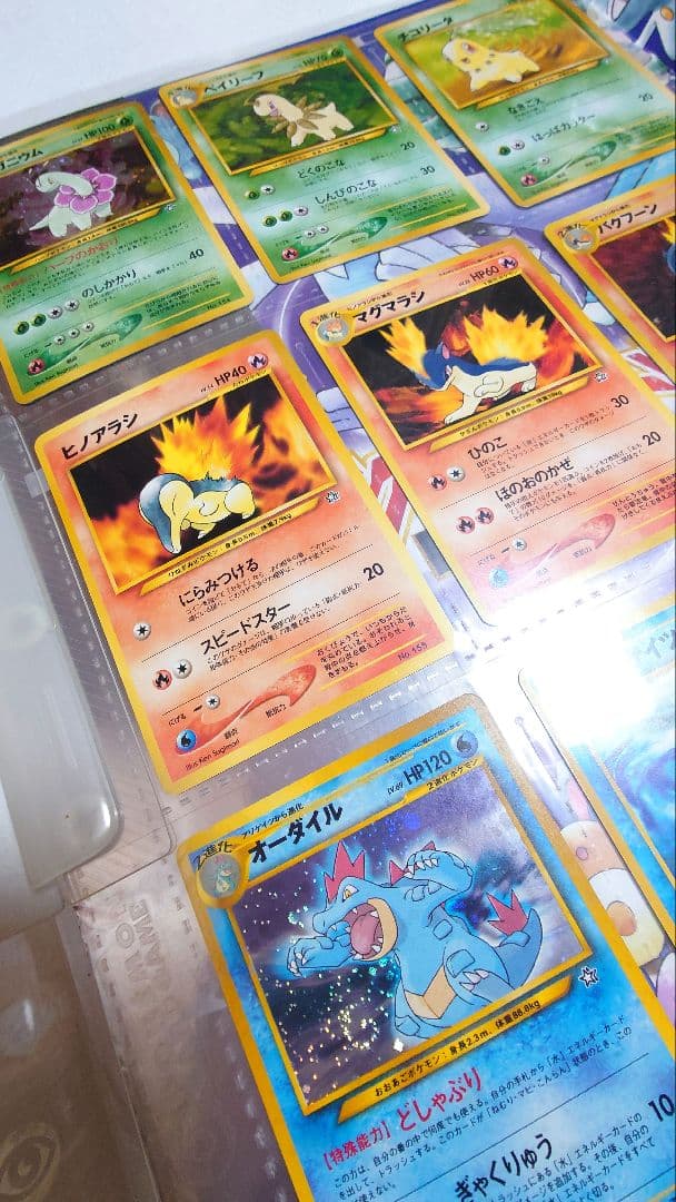 ポケモンカード neo プレミアムファイル 渦巻きホロ　レア　Pokémon