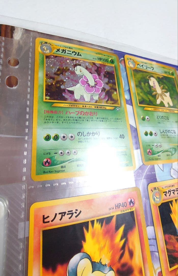 ポケモンカード neo プレミアムファイル 渦巻きホロ　レア　Pokémon