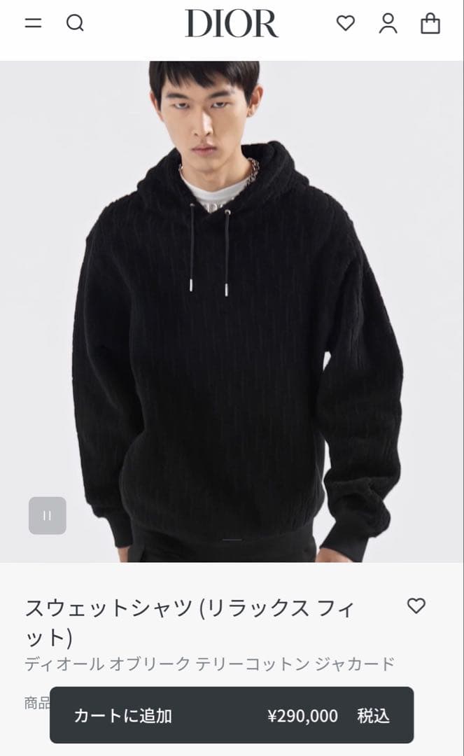 日本正規品　ディオール　パーカー　オブリーク　黒　M