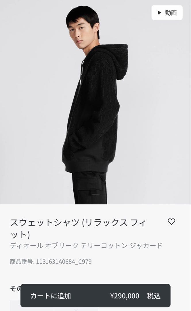 日本正規品　ディオール　パーカー　オブリーク　黒　M