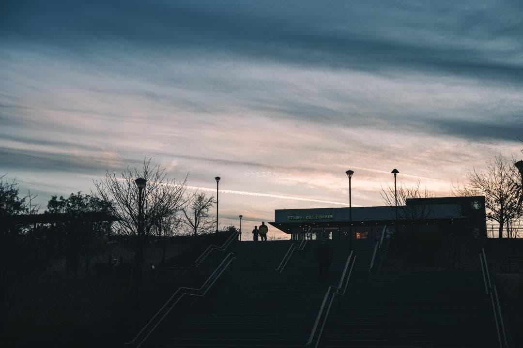 山崎磨き！Leica Summar 50mm f2 山崎ズマール オールドレンズ