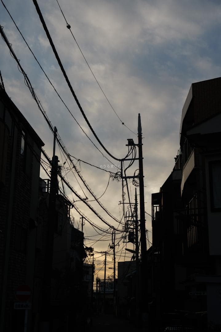 山崎磨き！Leica Summar 50mm f2 山崎ズマール オールドレンズ