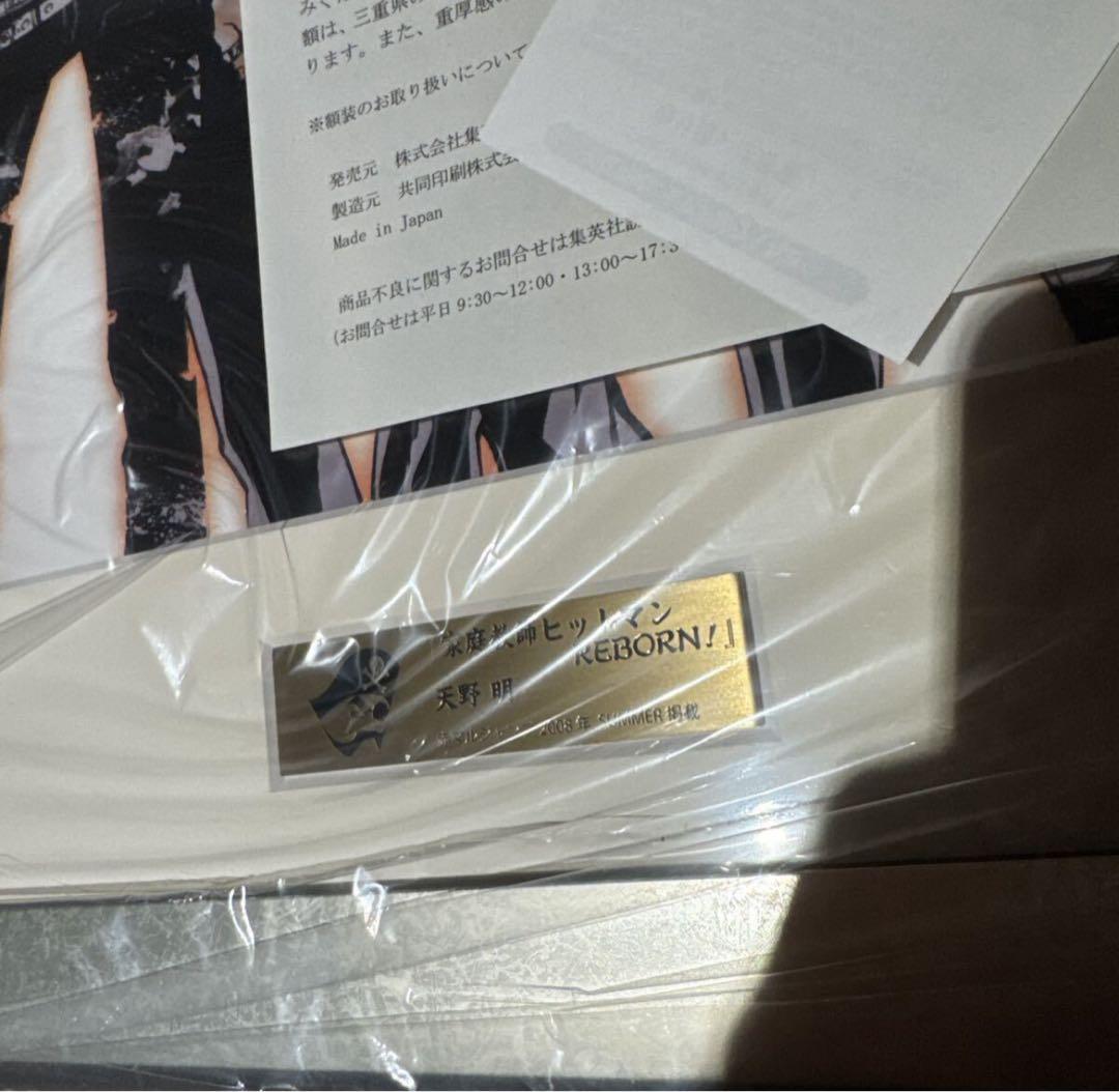 家庭教師ヒットマンREBORN！ 高級複製原画