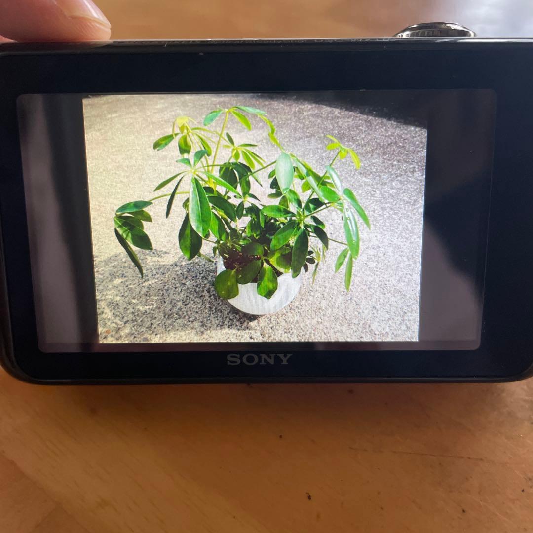 デジタルカメラ Sony Cyber-shot DSC-WX170 18.2MP