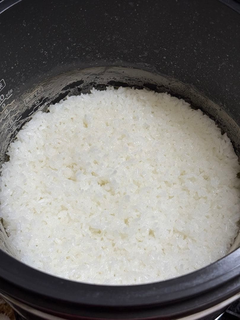 リンナイ ガス炊飯器 こがまる 1升 プロパンガス用 RR-100FS(DB)