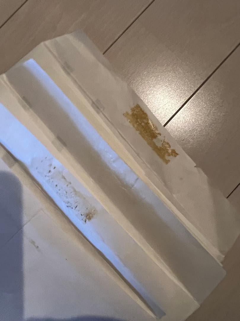 日能研　5年　前期　公開模試　2024 テスト