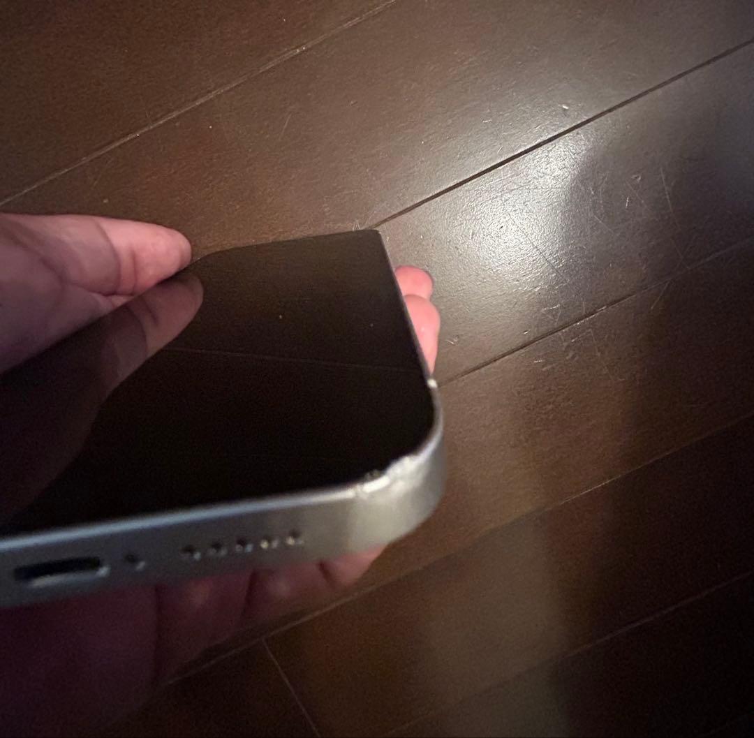 Apple iPhone 12 本体