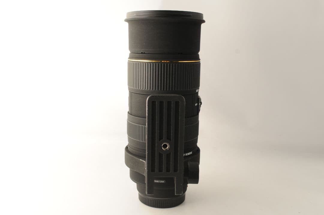 SIGMA 50-500mm F4-6.3 APO DG Sony Aマウント