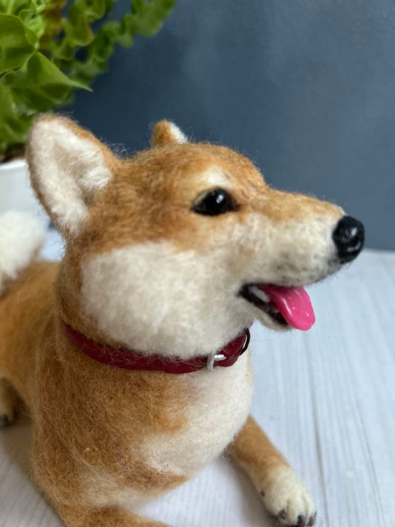 羊毛フェルト　犬　柴犬