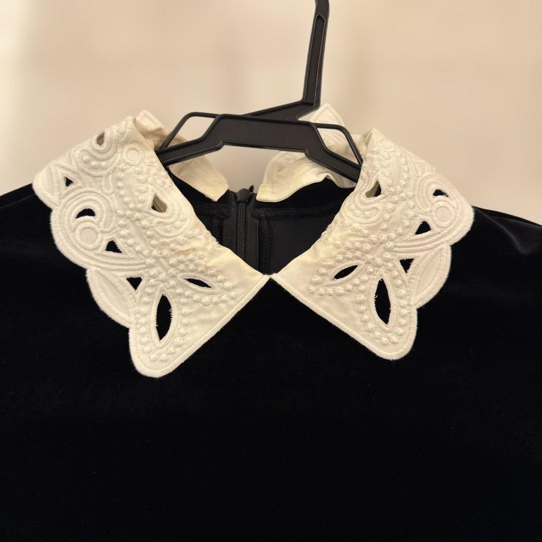 フォクシーベロアカットソー38