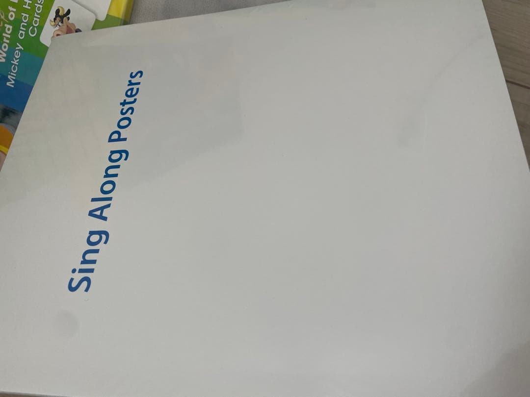 DWE ディズニー英語システム　シングアロングフルセット　美品　767