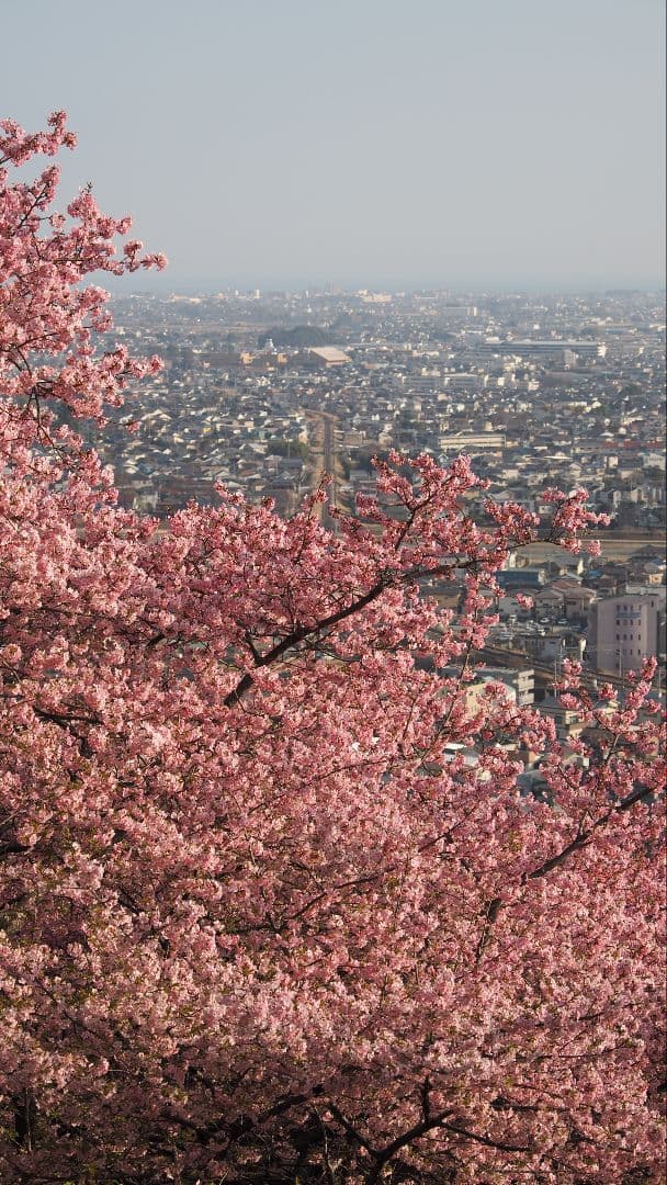 OLYMPUS OM-D E-M5 Mark II レンズ2本セット