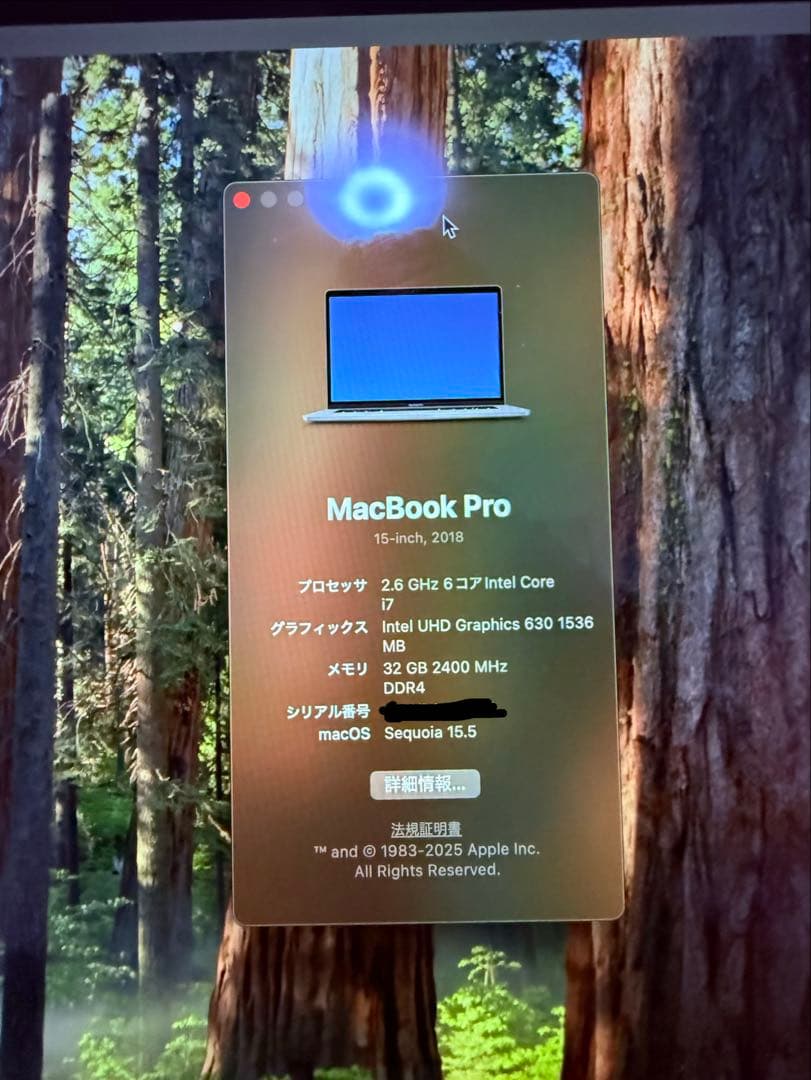 MacBook Pro 15インチ 2018 メモリ 32GB 512GB