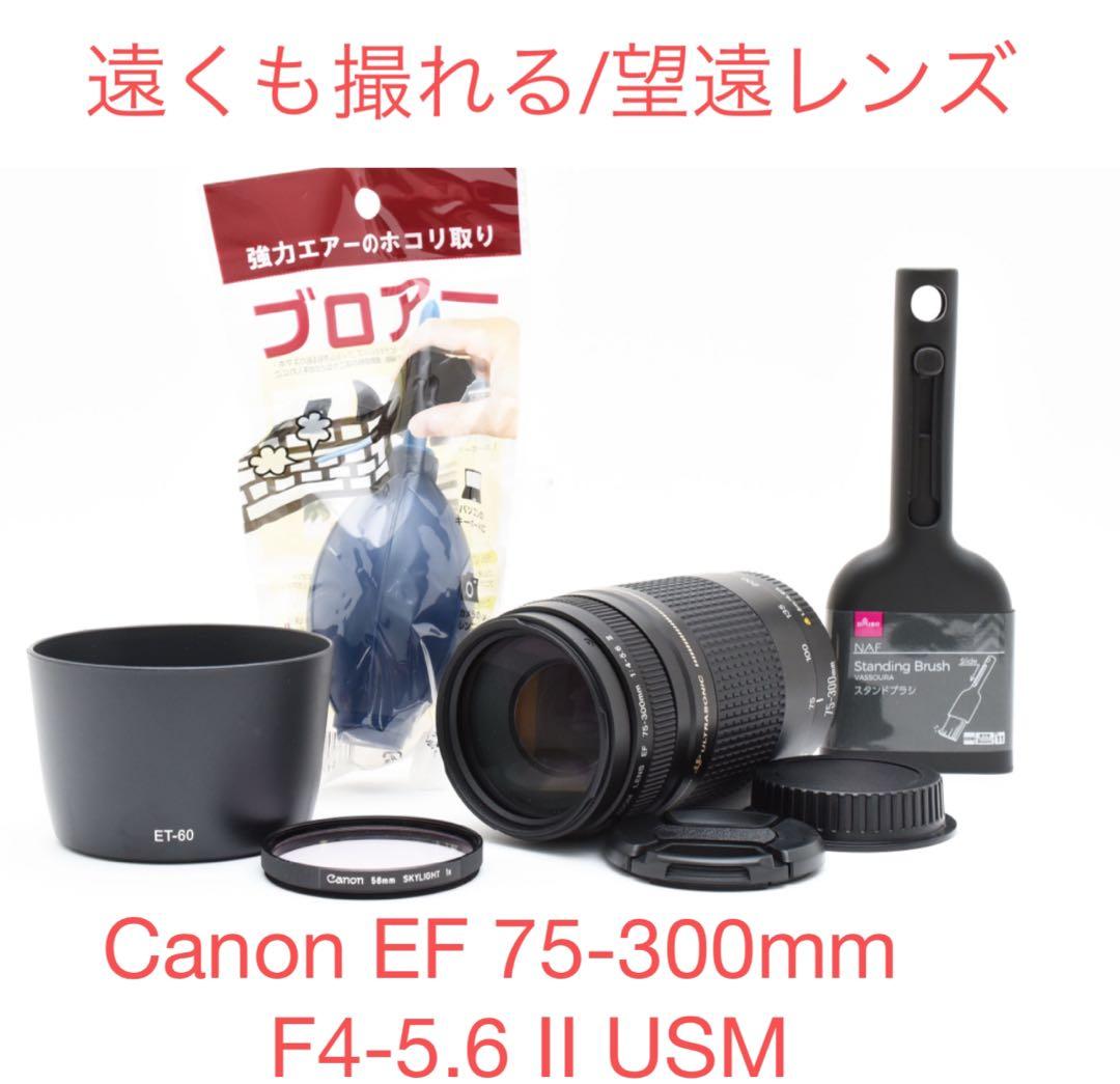 フード付き/Canon EF 75-300mm F4-5.6 Ⅱ USM