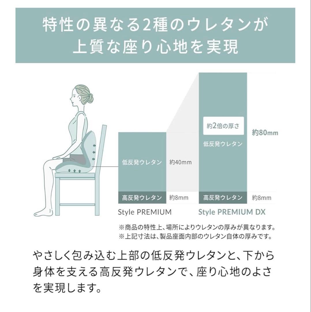 MTG エムティージー 骨盤サポート座椅子 Style PREMIUM DX 黒