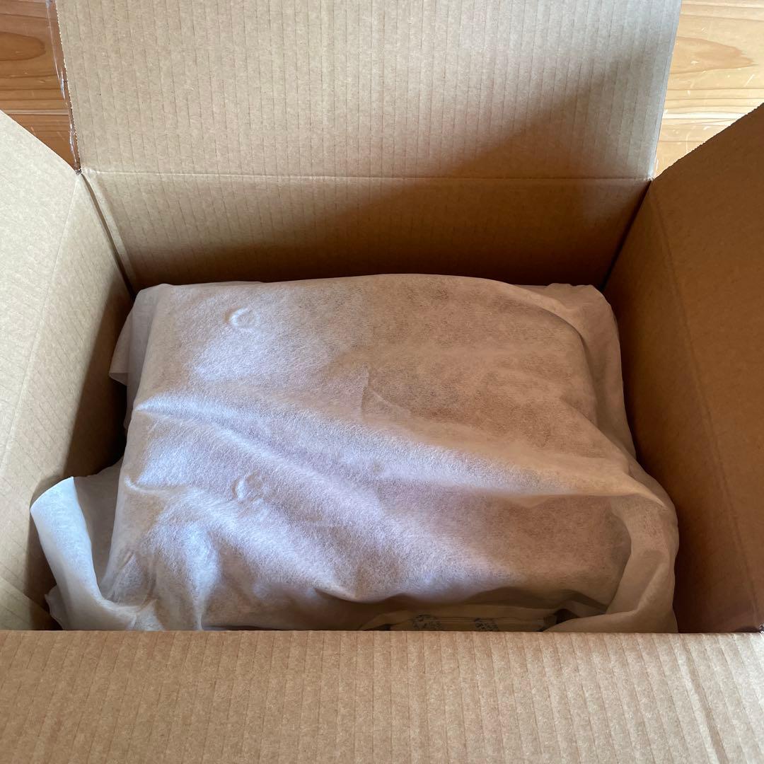 スピーカー・ウーファー AIRPULSE P100X