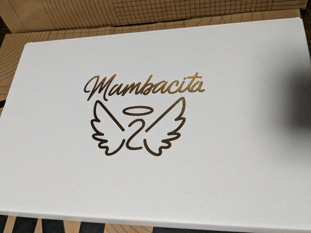 NIKE KOBE Ⅸ LOW EM GS 箱ありコービー 9 GS 24.0