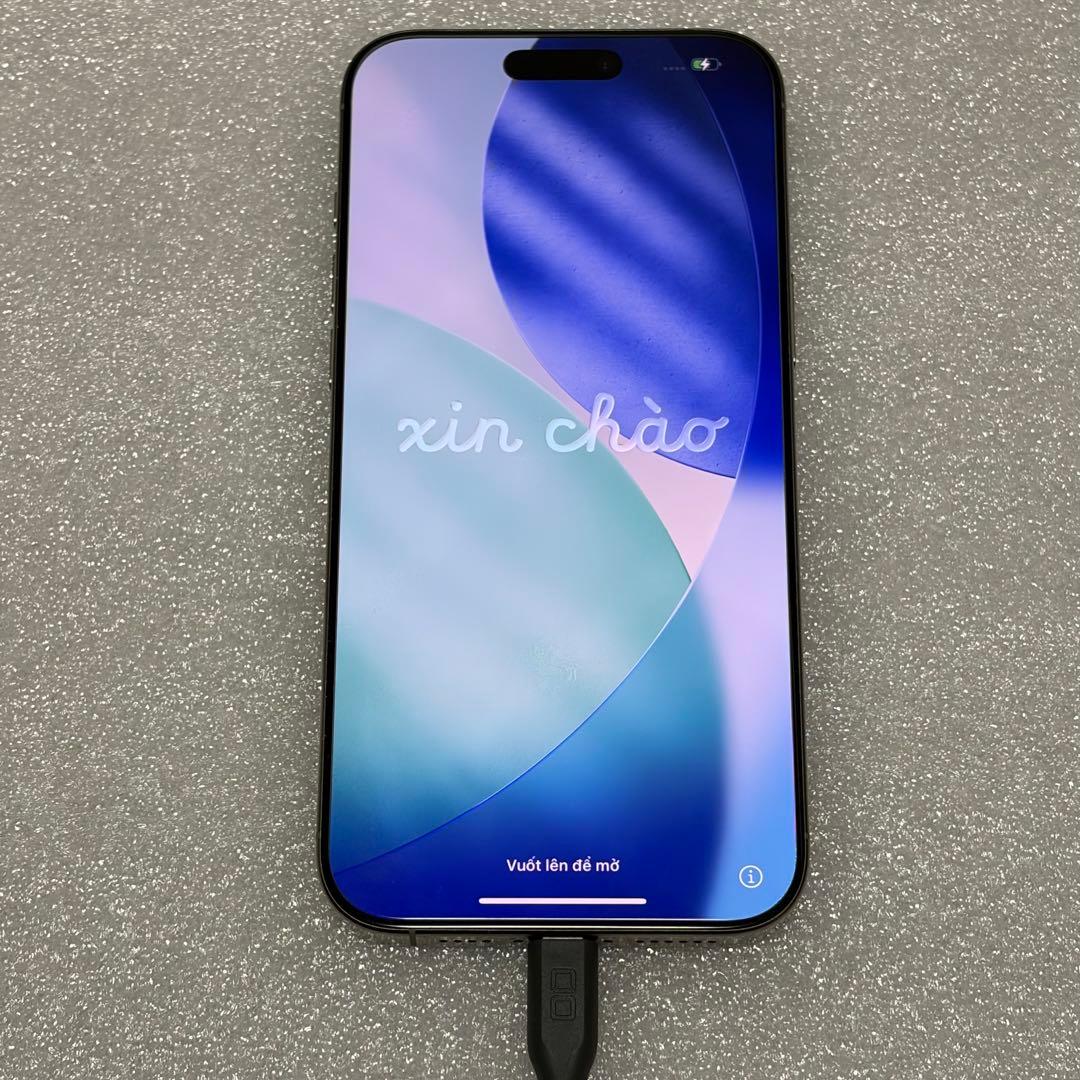 【早い者勝ち】iPhone 16 Pro Max シルバー 256 GB 98%