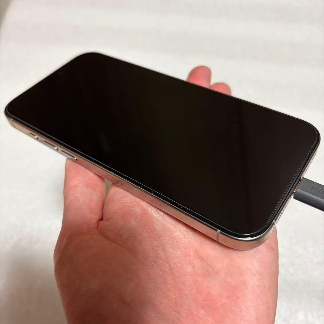 【早い者勝ち】iPhone 16 Pro Max シルバー 256 GB 98%