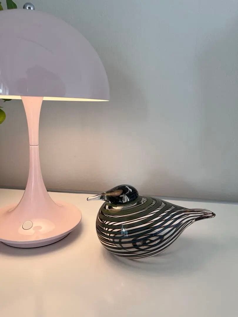  バード バイ オイバ・トイッカ ヨタカ