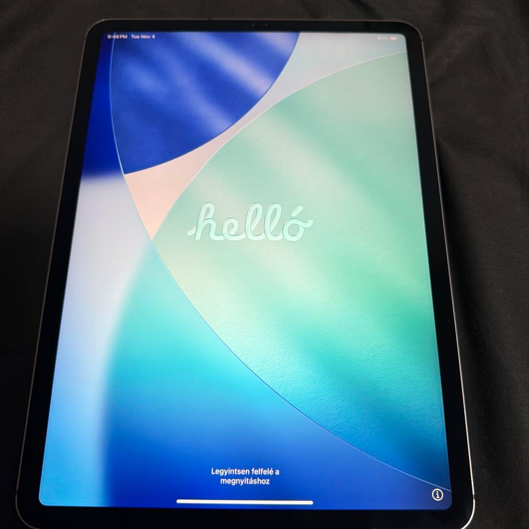 iPad Pro 11インチ(第2世代) 256GBとApple pencil