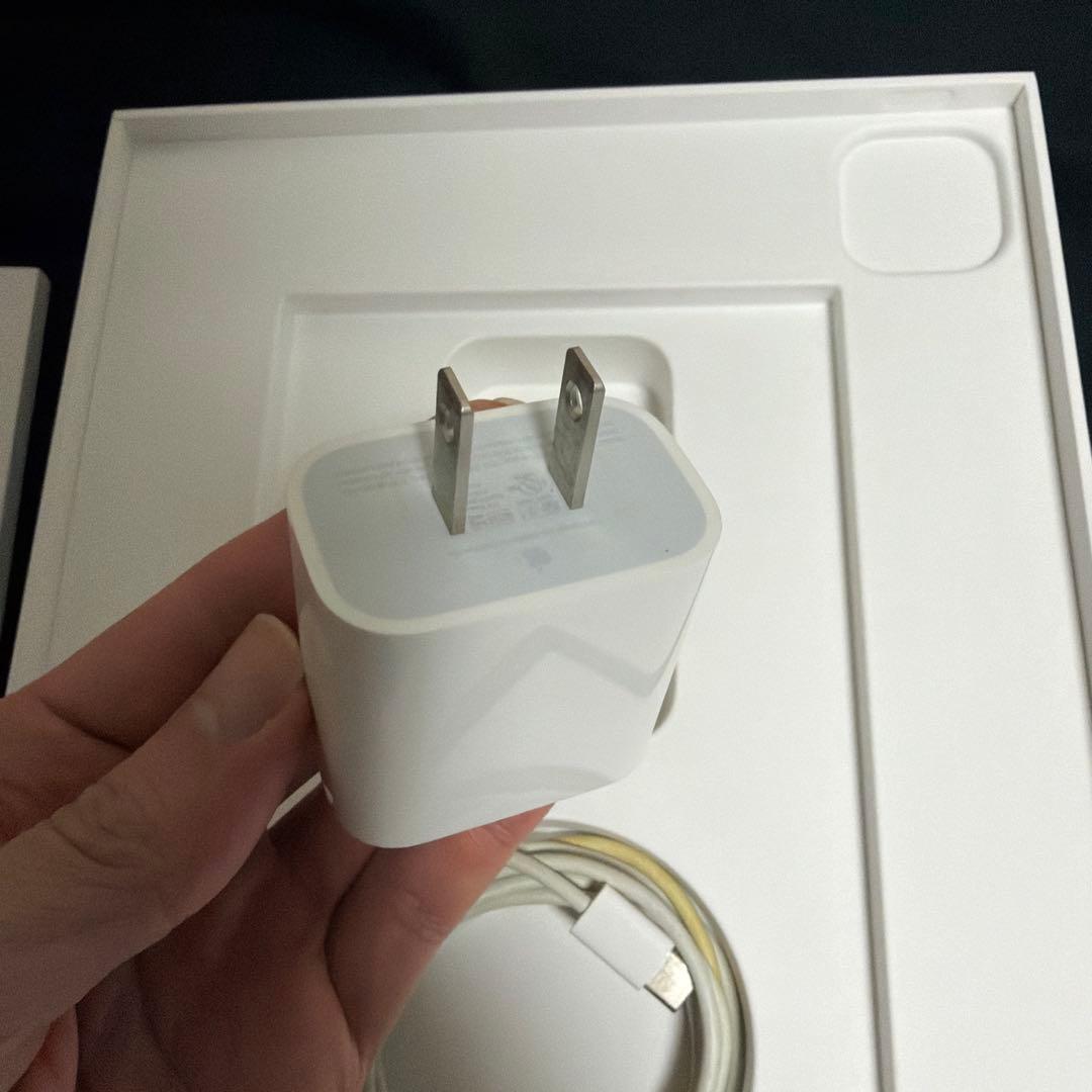 iPad Pro 11インチ(第2世代) 256GBとApple pencil