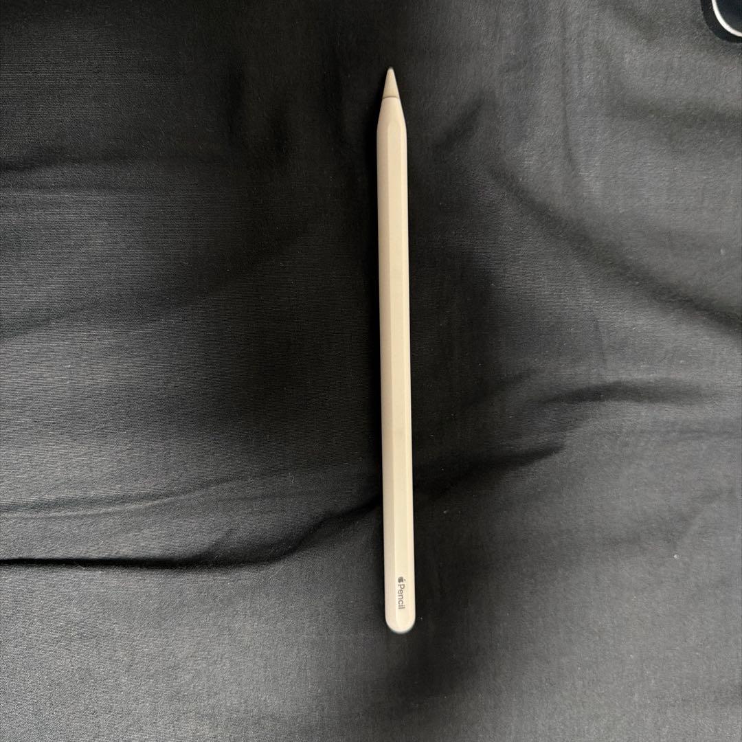 iPad Pro 11インチ(第2世代) 256GBとApple pencil