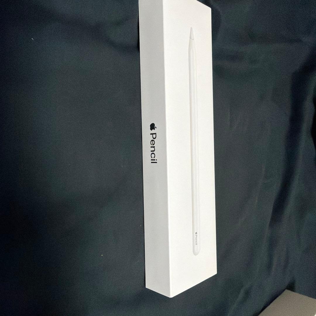 iPad Pro 11インチ(第2世代) 256GBとApple pencil