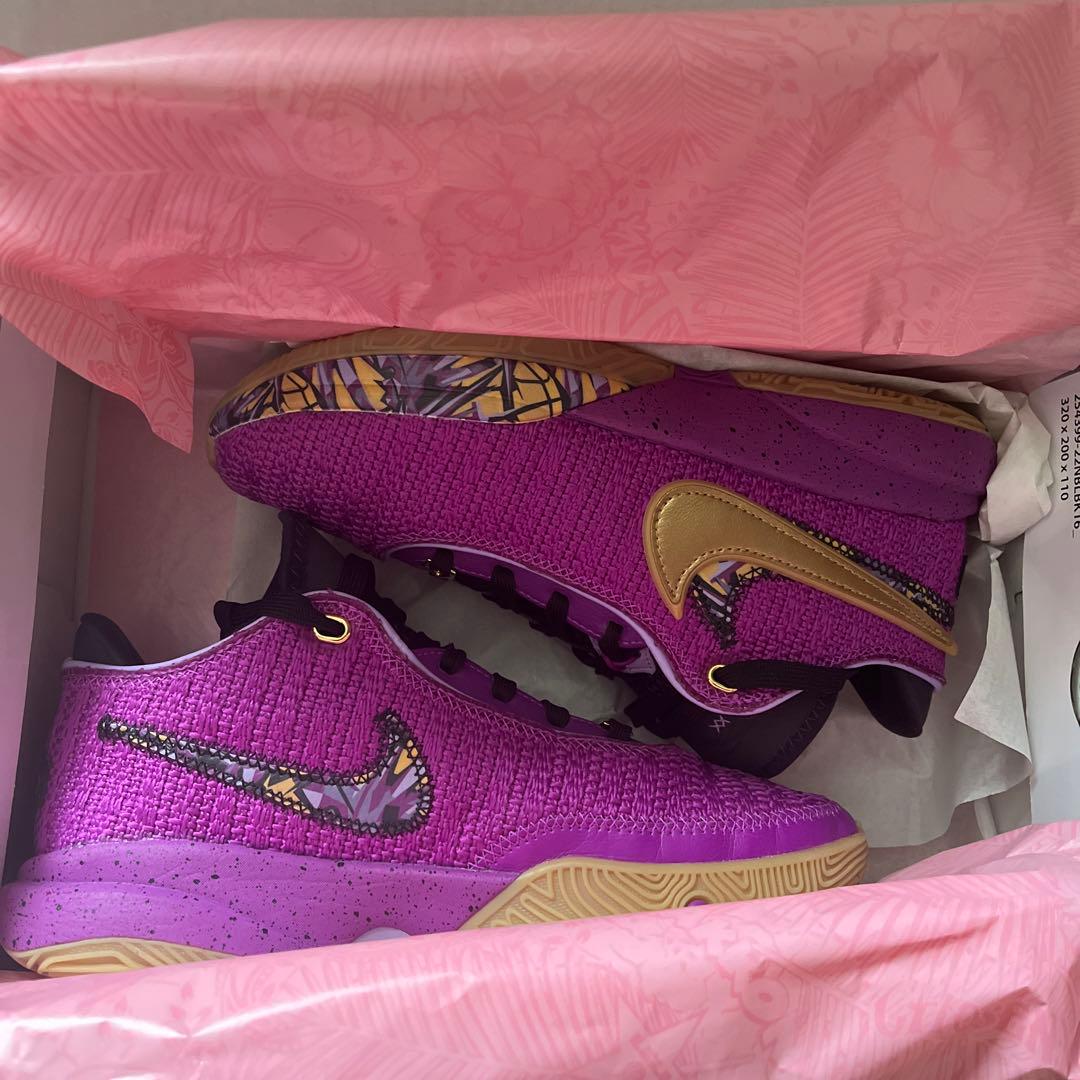 バッシュ　LEBRON XX SE (GS) 23.5㎝