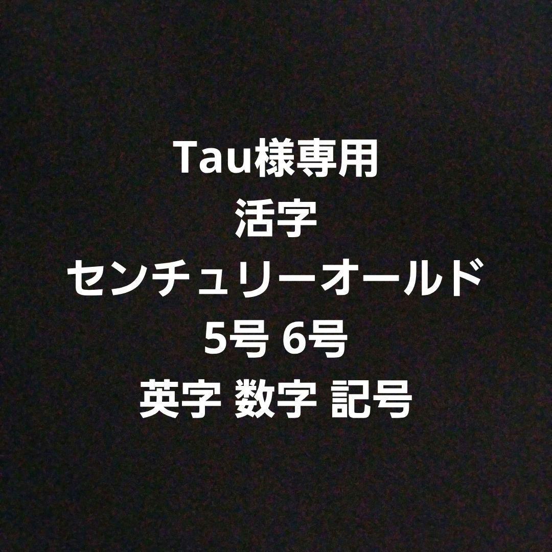 Tau 活字 センチュリーオールド 5号6号 数 記 スペーサー