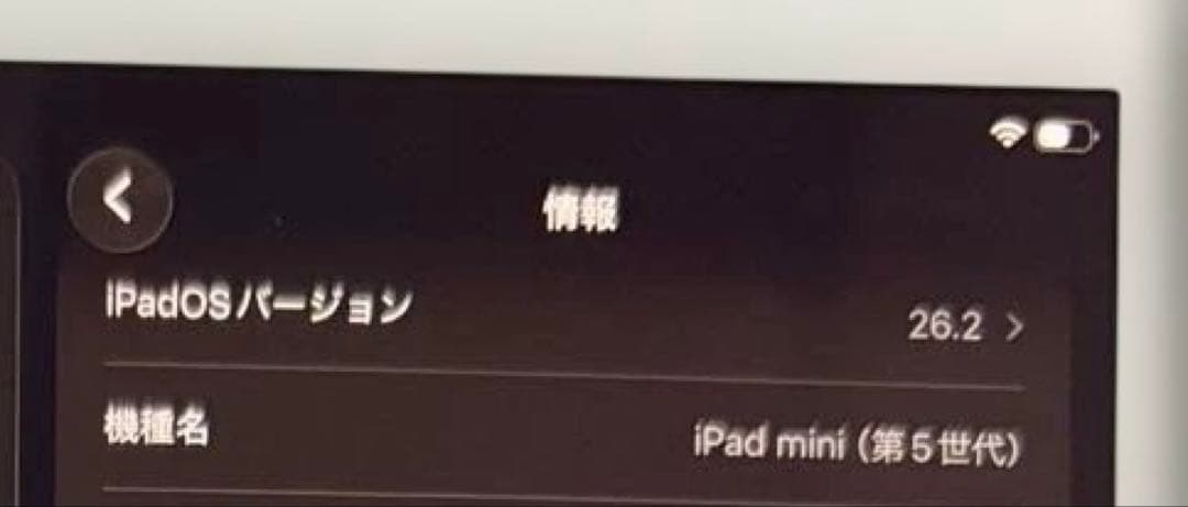 【Apple】iPad mini 第5世代 64GB シルバー