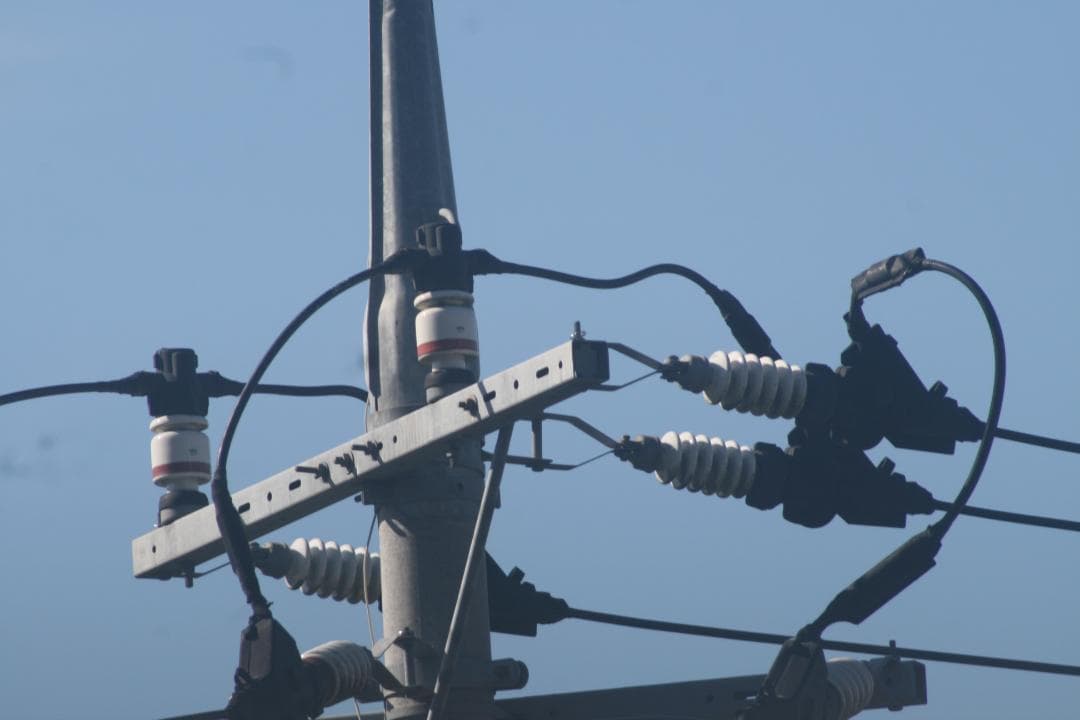 ★美品★トキナー TOKINA AT-X SD 400mm F5.6 キャノン