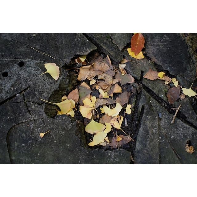 単焦点レンズ！25mm F1.8 ブラック　FUJIFILMミラーレス対応！格安