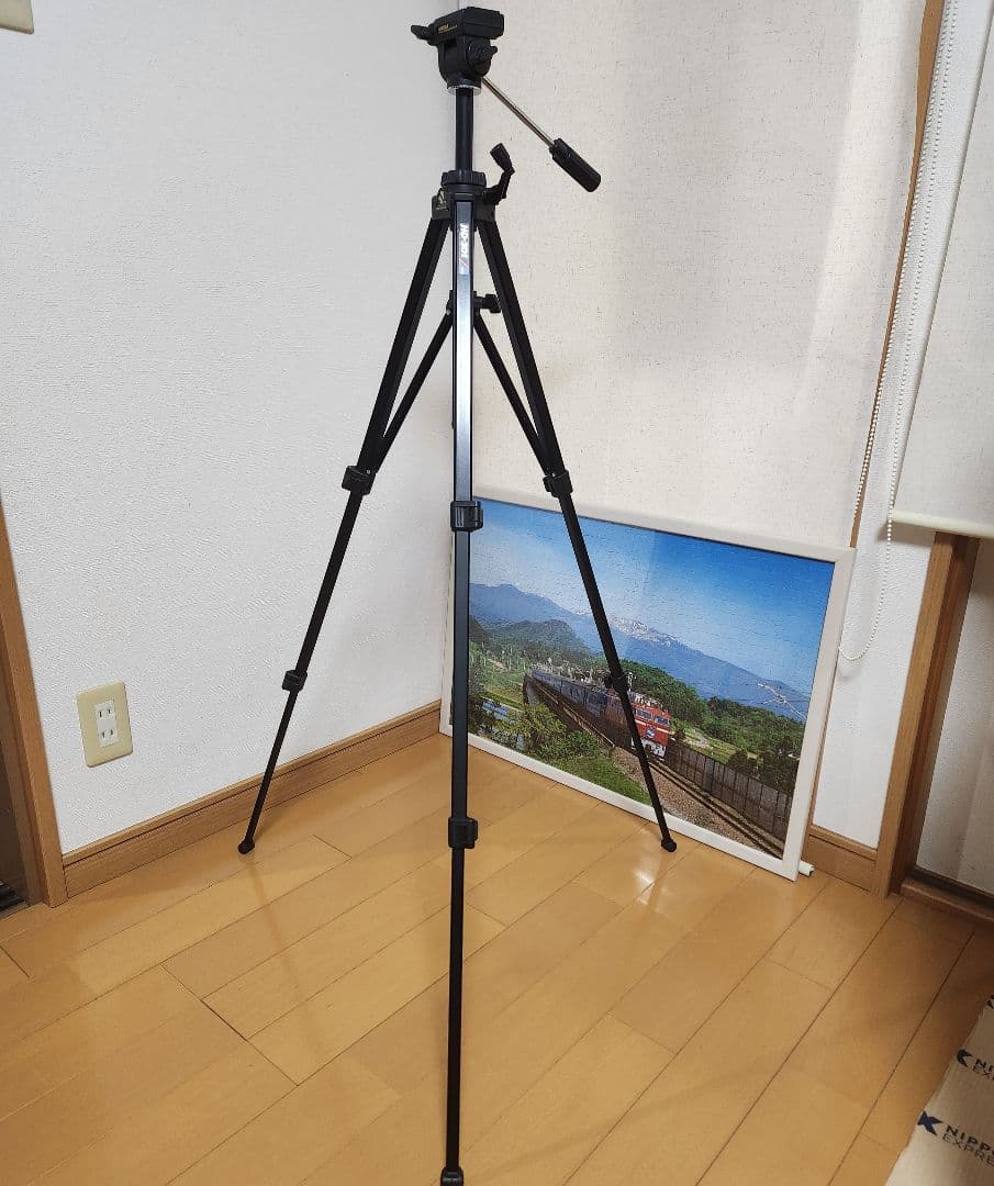 み*ぺ様 Nikon D50 　デジタル一眼レフカメラ【初心者対応】三脚&箱付き