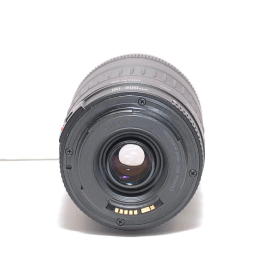 もふもふ 超望遠レンズデビュー✨Canon Kiss X50✨