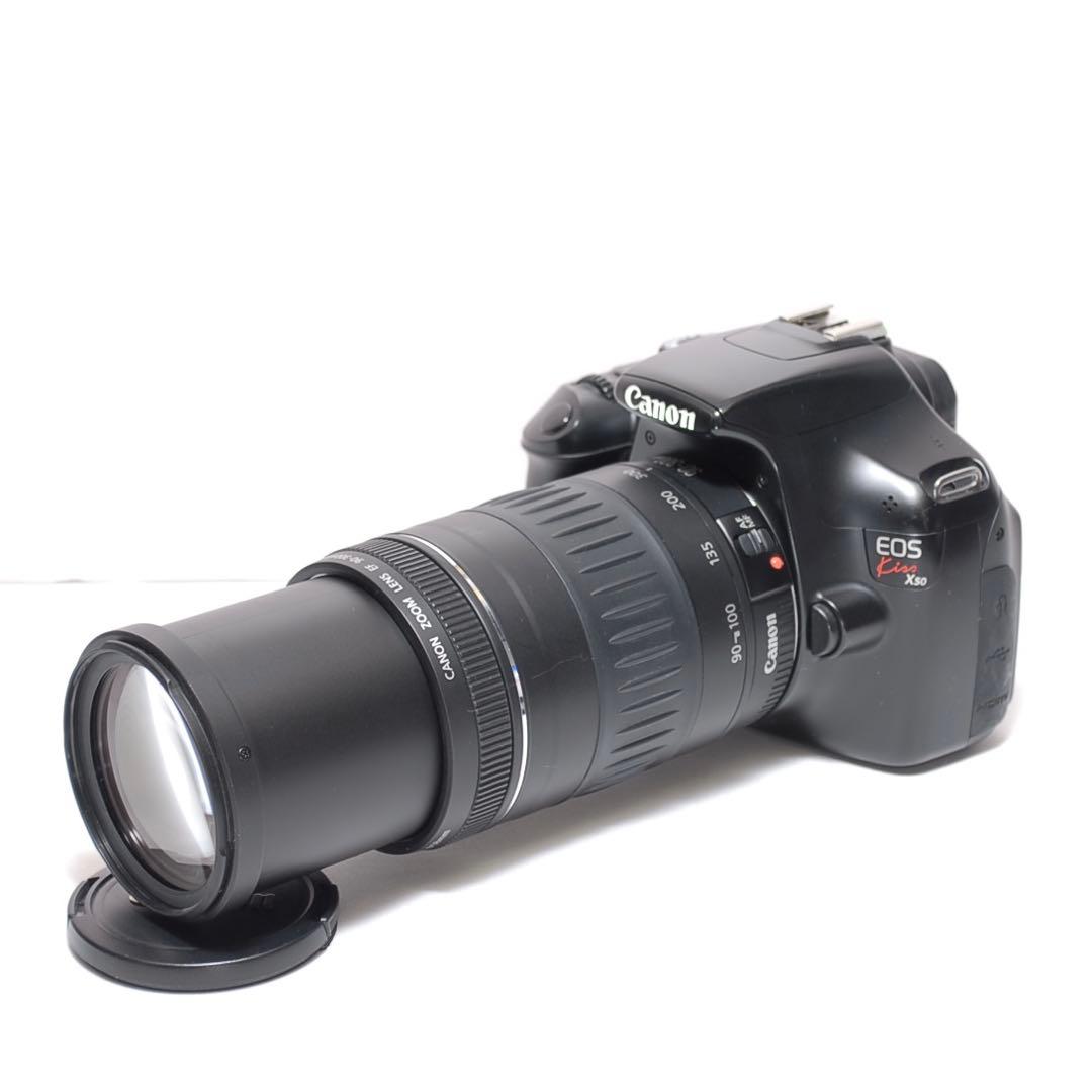 もふもふ 超望遠レンズデビュー✨Canon Kiss X50✨