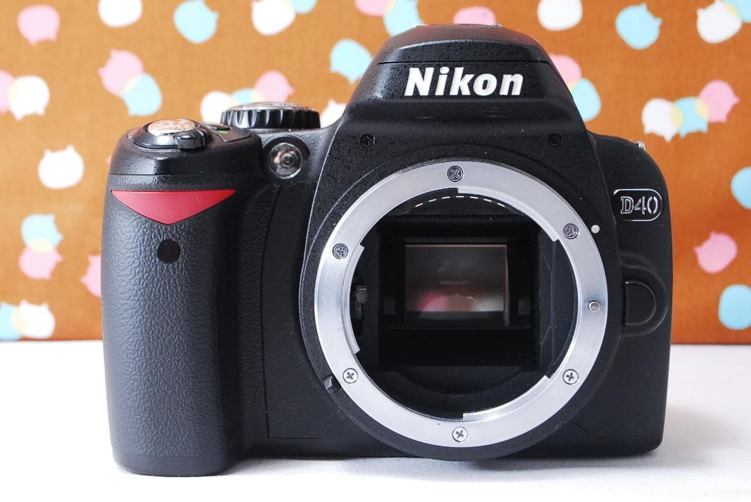✨ショット数562回✨ほぼ新品元箱付き✨Nikon D40 レンズセット